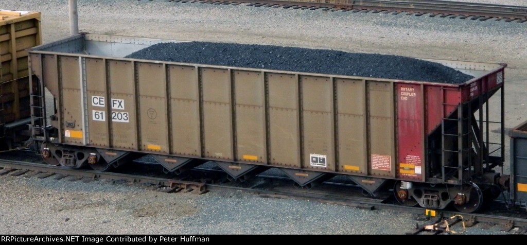 CEFX 61203